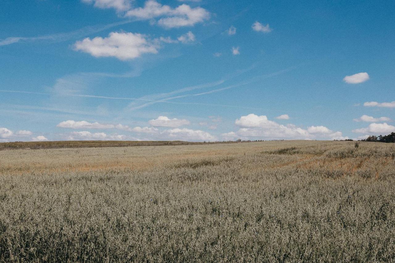 Agroturystyka Pod Debem Lagow  Bagian luar foto
